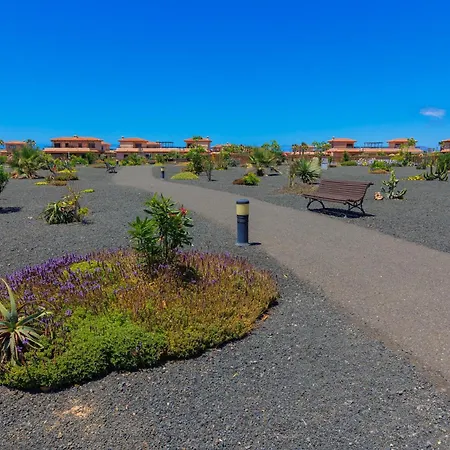 شقة Alma Ventura House -