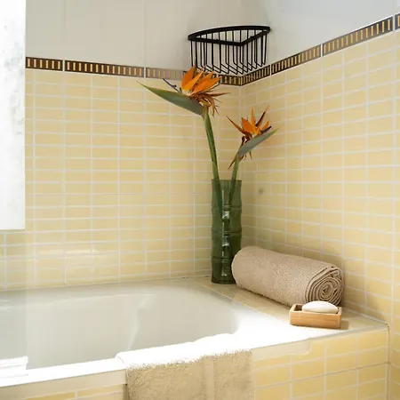 شقة Alma Ventura House - *