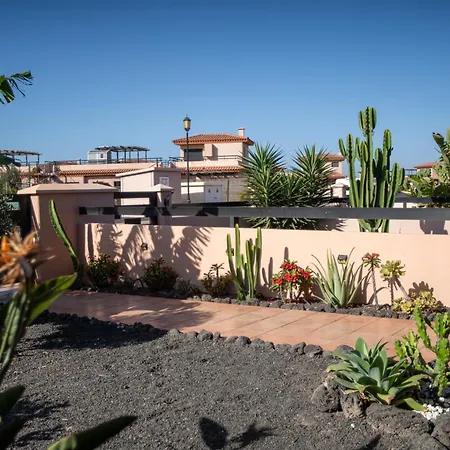 Alma Ventura House - *