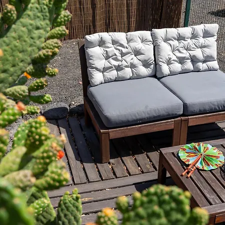 Alma Ventura House -